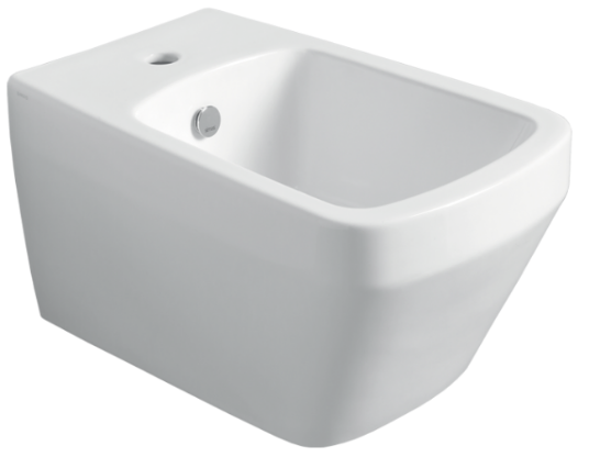 Wallhung Bidet with fixing kit