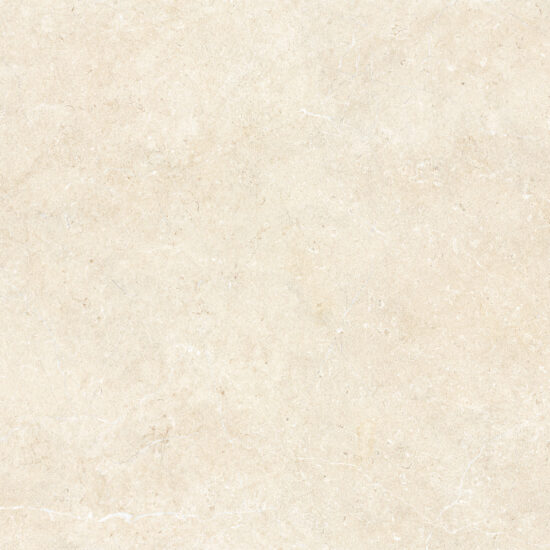 Porcelain Tile Matt Finish