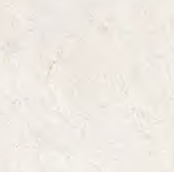 [EFD491R190237] Porcelain Tile Matt Finish