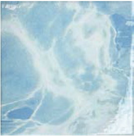 [04A1530] Porcelain Tile Glossy Finish