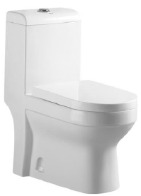 [6171-105] One piece toilet with cistern & seat cover, S trap 250 mm