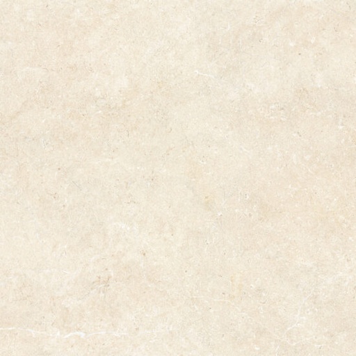 [M7E7-2020] Porcelain Tile Matt Finish